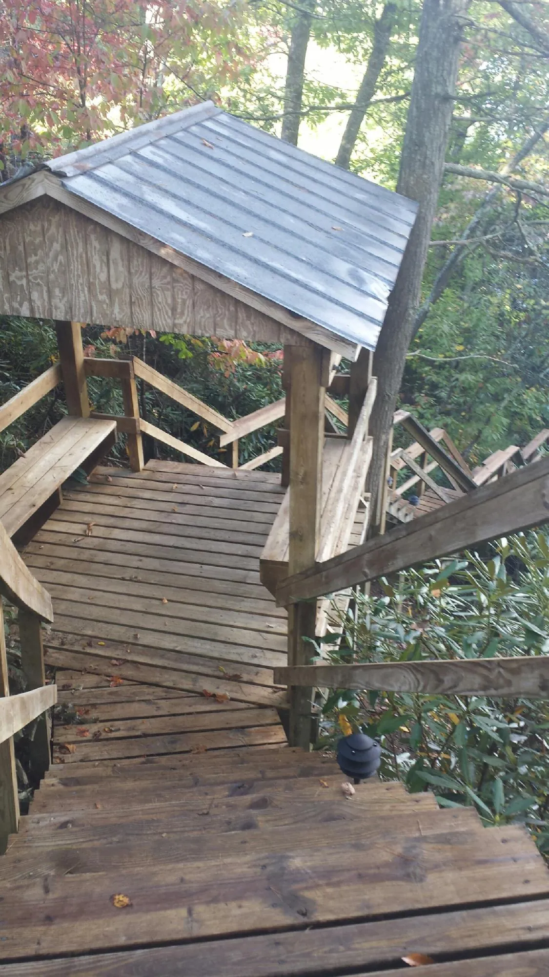 Metal roofed shelter over wooden steps on a wooded walkway — Skylight Repair & Installation work by our crew in Woolwine